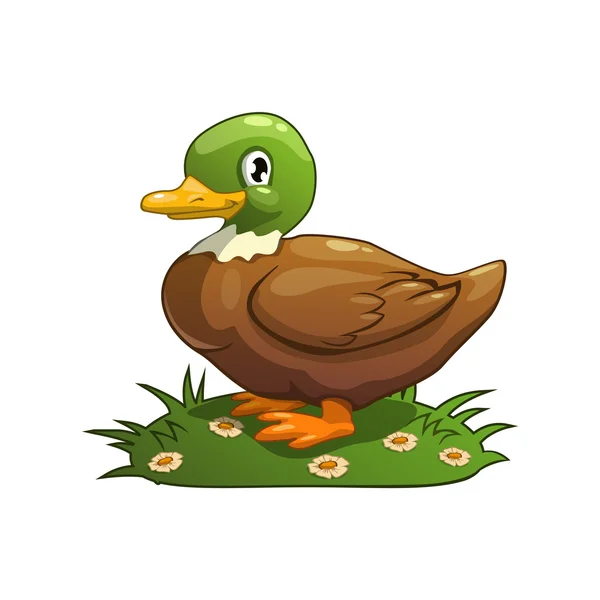 Duck — Stock Vector