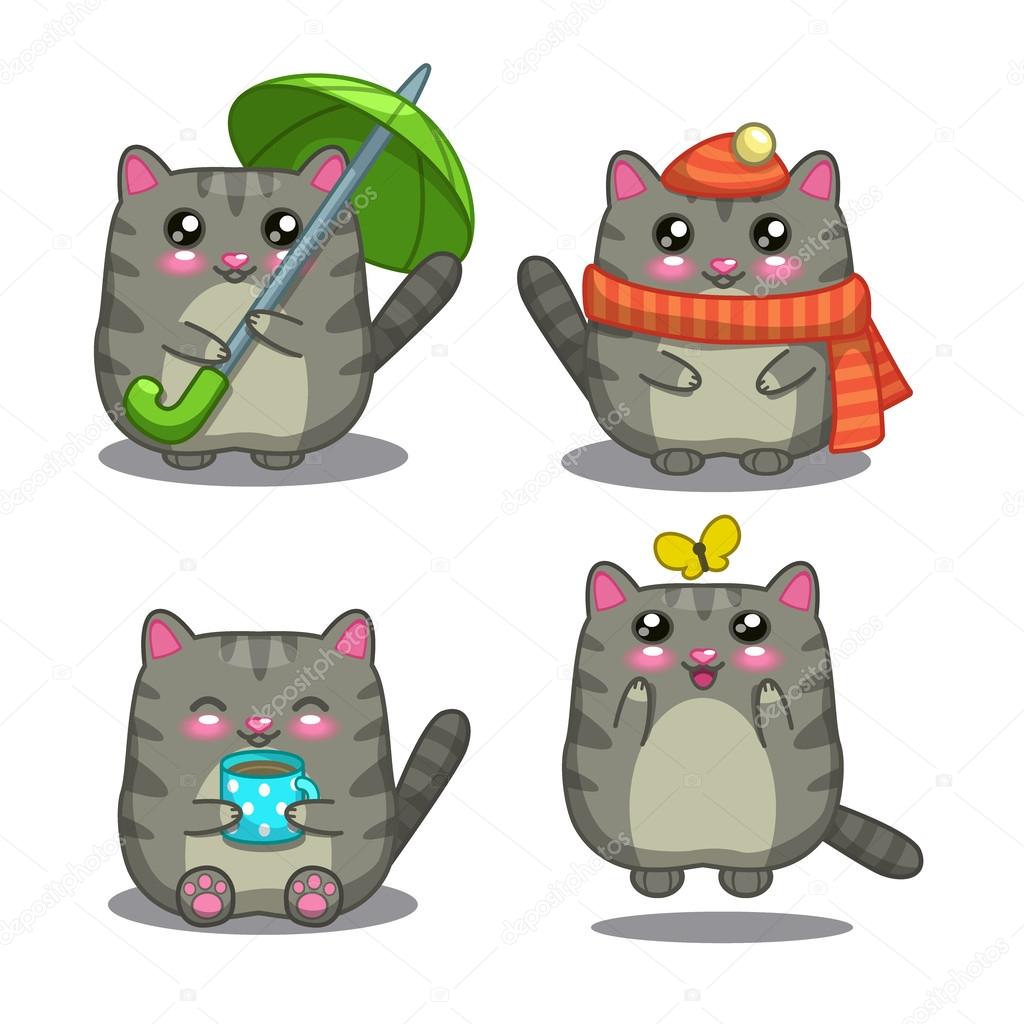Cute fat gray cat in different activity
