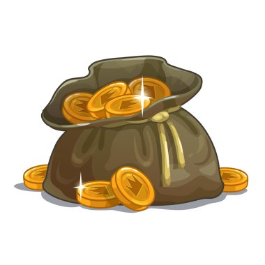 Altın sikke ile çanta