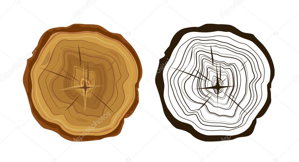 Cut tree icons, tree rings illustration