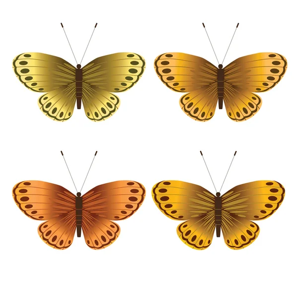 Vector collection of gold butterflies, design elements — Stock Vector