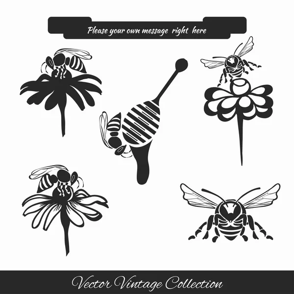 Vector set for honey sketches 1 — Stock Vector