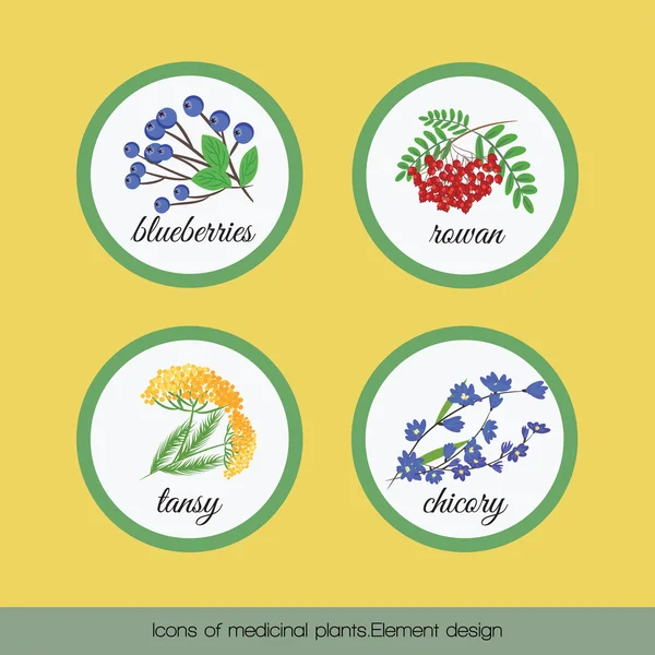 Pictogrammen van medicinale planten 1 — Stockvector