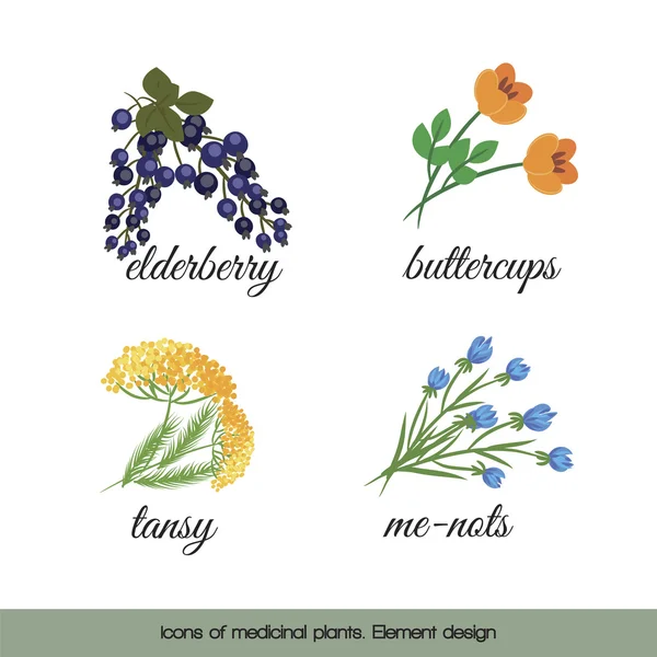 Icone di piante medicinali 4 Vettoriali Stock Royalty Free