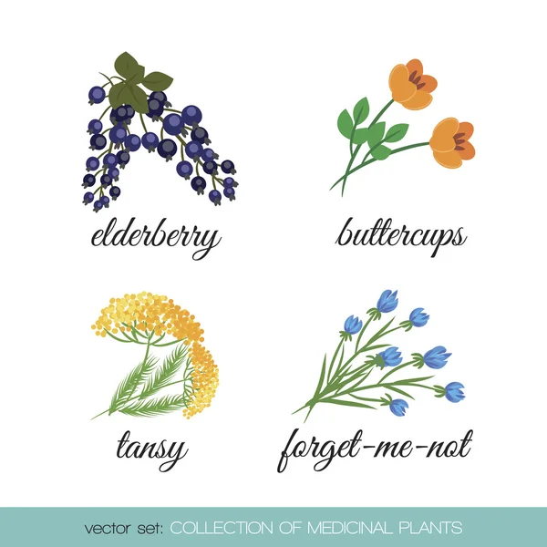 Tıbbi plants1 topluluğu