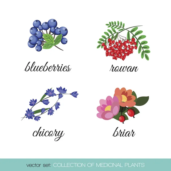 Tıbbi plants2 topluluğu