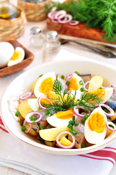 Салат из сельди, вареной картошки, яиц и лука с оливковым маслом . — стоковое фото