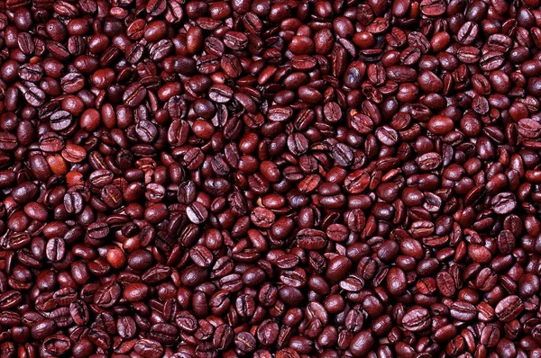 Coffee beans background — Stock Photo, Image