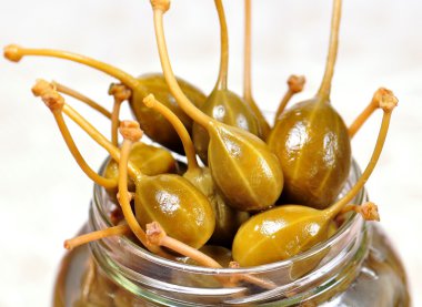 beyaz zemin üzerine Kapari Karpuzu