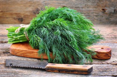 Ahşap bir masa üzerinde taze organik dereotu demet