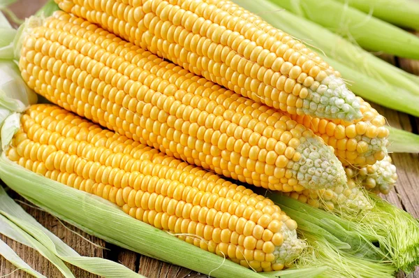 Organic yellow corn. Background. selective focus. — Stock Photo, Image