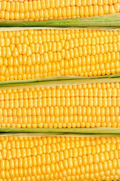 Organic yellow corn. Background. selective focus. — Stock Photo, Image