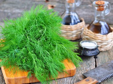 Ahşap bir masa üzerinde Zeytinyağlı taze dereotu demet