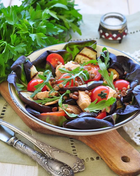 Salada vegetariana com berinjela grelhada, salmão e lentilhas — Fotografia de Stock