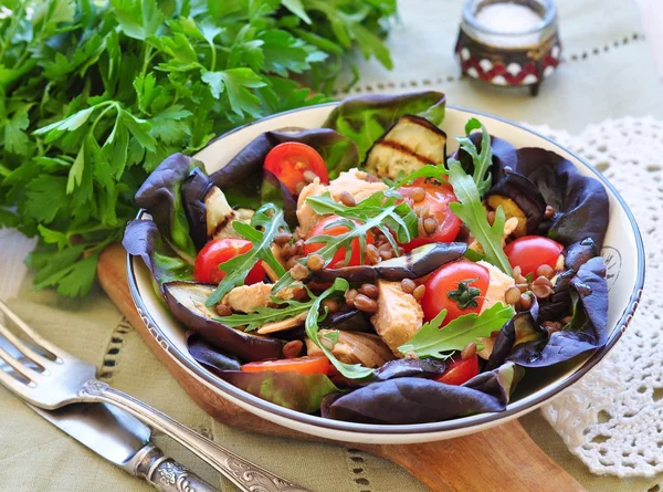 素食主义者沙拉配烤的茄子，三文鱼和小扁豆 — 图库照片