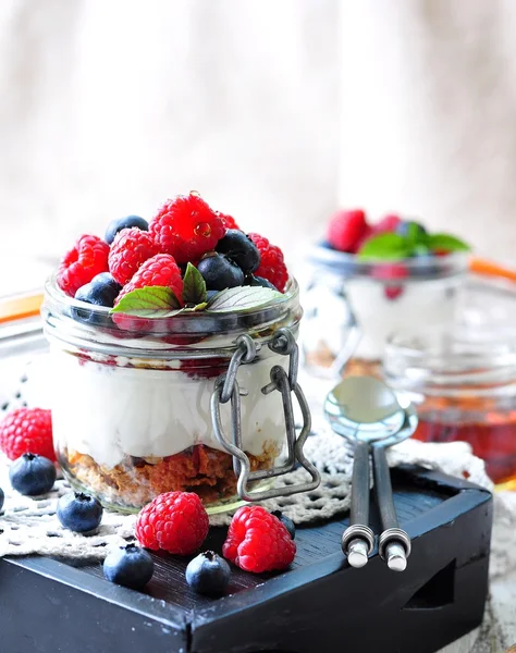 Granola casera con yougurt fresco, arándanos, frambuesas, pasas y néctar de agave orgánico. Desayuno saludable — Foto de Stock