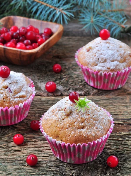 Taze ve kurutulmuş cranberries ile ev yapımı kek — Stok fotoğraf