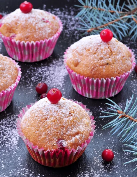 Muffins maison aux canneberges fraîches et séchées — Photo