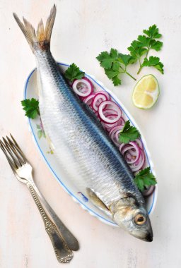 Kırmızı soğan, kireç ve maydanoz ile ringa balığı