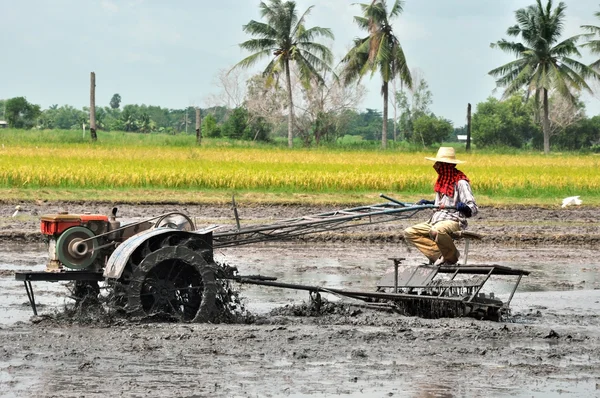 Mão segure moter está arando no campo de arroz — Fotografia de Stock