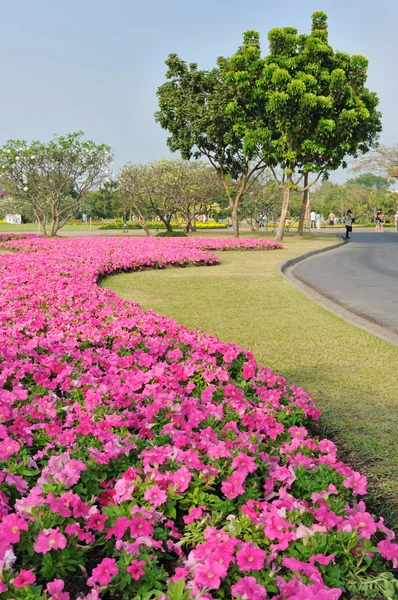 Jardinería del paisaje público — Foto de Stock