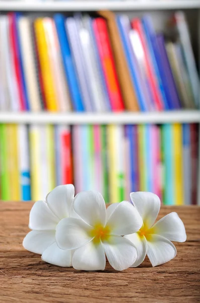 木製の机の上の白いプルメリアの花 — ストック写真