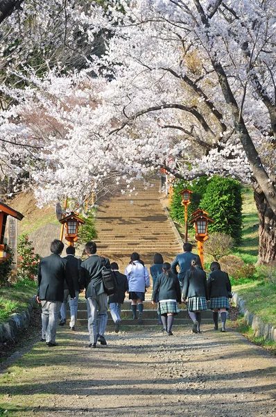 Japonca Japonya neşeli blosoom öğrencilerle