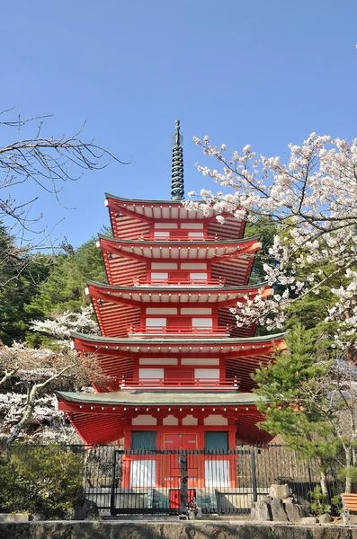 Chureito Pagoda among cherry blossom in Japan — Stock Photo, Image