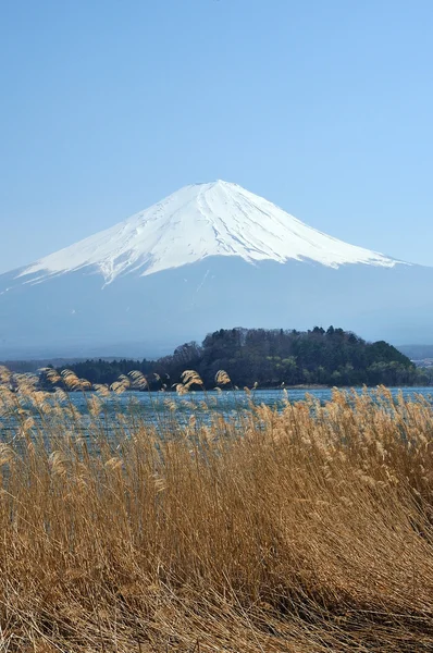 Mt. Fuji with field at kawaguchi lake — Stock Photo, Image