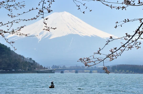 Mt. Fuji with field at kawaguchi lake — Stock Photo, Image