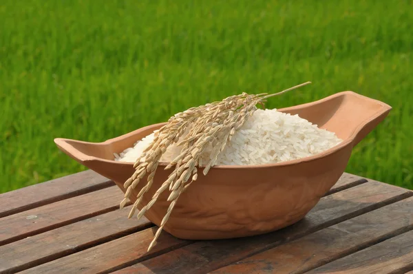 Padie op houten tafel in rijst veld achtergrond — Stockfoto