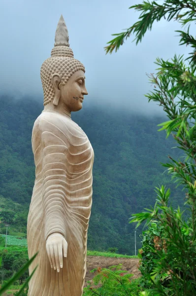 Estátua de buddha em pé na colina — Fotografia de Stock