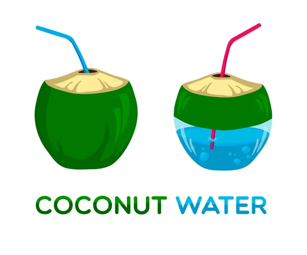 Logotipo vectorial para agua de coco — Vector de stock