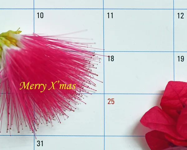 Calendario che mostra il 25 dicembre, il giorno di Natale Immagine Stock