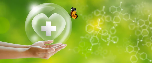 Hand offer medical shield on green background with butterfly and chemical formulas. Family life insurance, Medical care insurance, and Business healthy concepts.