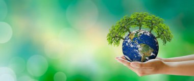 Dünya gezegeninde elinde büyüyen ağaç. Bokeh 'in yeşil arka planı. Dünya Akıl Sağlığı ve Dünya Günü. NASA tarafından döşenmiş elementler. Çevre ve Dünya Ekolojisi Konsepti Kaydediliyor.