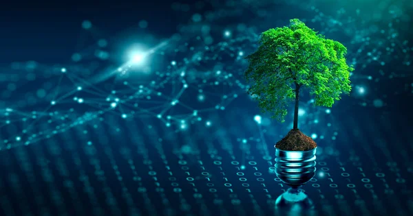 Albero Con Terreno Che Cresce Lampadina Convergenza Digitale Convergenza Tecnologica — Foto Stock