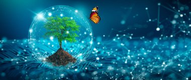 Bilgisayar devre kartının kesişme noktasında toprak büyüyen ağaç. Mavi ışık ve düşük polyester kablo şebekesi arka planı. Green Computing, Green Technology, Green IT, CSR ve IT etik kavramı.