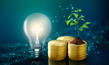 Büyüyen genç bitki, toprak ve altın para desteleri olan ampul. Enerji tasarrufu, muhasebe, finans, doğa ekolojisi, yeşil ekoloji, enerji tasarrufu ve çevre teknolojisi kavramı.