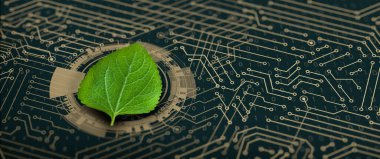 Bilgisayar devre kartının birleşme noktasında yeşil yaprak var. Dijital Yakınsama ve Teknolojik Yakınsama ile Doğa. Green Computing, Green Technology, Green IT, CSR ve IT etik kavramı.