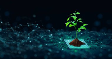 Bilgisayar devre kartının kesişme noktasında toprak büyüyen ağaç. Mavi ışık ve kablo şebekesi arka planı. Green Computing, Green Technology, Green IT, CSR ve IT etik kavramı.