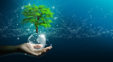 Kristal kürenin üzerinde büyüyen ağacı tutarken mavi arka planda teknolojik yakınsama var. Yenilikçi teknoloji, doğa teknolojisi etkileşimi, çevre dostu, bilişim etiği ve ekosistem kavramı.