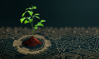 Bilgisayar devre kartının kesişme noktasında toprak yetişen ağaç. Dijital Yakınsama ve Teknolojik Yakınsama ile Doğa. Green Computing, Green Technology, Green IT, CSR ve IT etik kavramı.