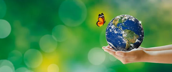 Hand Holding Earth Butterfly Green Blur Background Saving Planet Protect — Stock Photo, Image