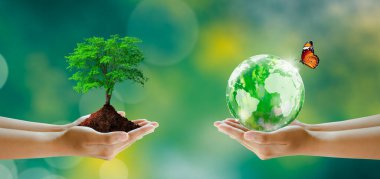 Hand holding tree and world crystal glass. Butterfly on Sunny green grass bokeh background. Save clean planet, Save world and environment, Ecology, World Earth Day Concept. clipart