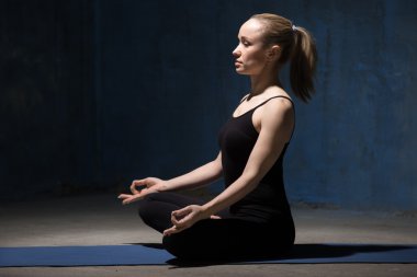 Beautiful Yoga Woman sitting on meditation session clipart