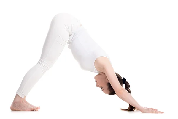 Yoga pose nedåt som vetter mot hund — Stockfoto