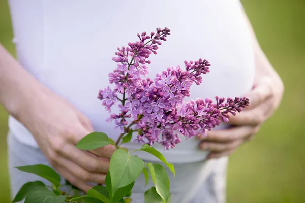 外でライラックの花を持つ妊婦の胴のクローズアップ — ストック写真