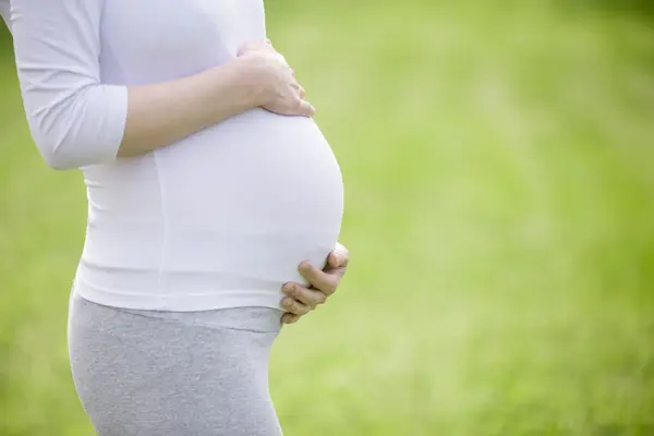 Gros plan du torse de la femme enceinte avec espace de copie — Photo