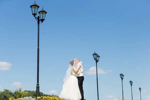 Newlyweds kissing against the sky — Stock Photo, Image